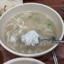 태교일기9-1_임신 33주차 대전 태교여행(성심당 임산부 프리패스 한밭수목원 피크닉 풍자 또간집 광천식당)