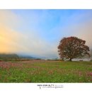 Land Scape 이미지