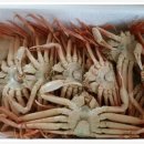 맥섬석홍보관 이미지