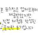 제주솔 이미지