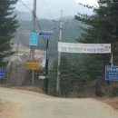 솔밭캠핑장