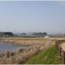 순천-49호 이미지