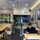 국수나무효자 이미지