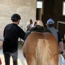 오로라승마장