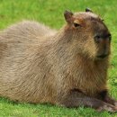 대전컨벤션센터 이미지