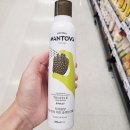 만토바 이미지