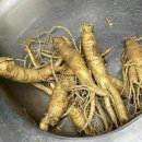 풍기인삼사 이미지