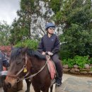 호진목장 이미지