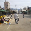 (주)풀과나무 이미지