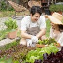 정원약품 이미지