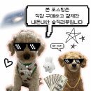 어울림정육점 | 안성 공도 정육점 고기고집 육회 9900원 실화 직접 사먹어봄