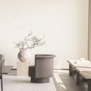 모던펫코리아 이미지