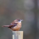 강우량계 이미지