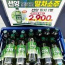 지에스25 기흥풍림점 | GS25 선양 말차소주 구매후기 (기흥예현로점 점포특별가/네이버페이백 이벤트!)