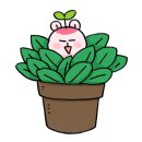 디자인 혜 이미지