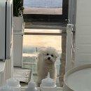 또또살롱 이미지