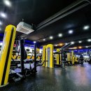 아레나 피트니스 이미지