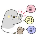 시흥승마힐링체험장 이미지