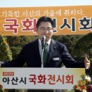 꽃채운 이미지