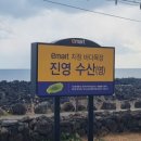 J의 P같은 제주도 여행기3