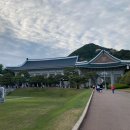 타로테라피 이미지