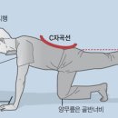 허리 약해져 운동 못 한다면… ‘이 동작’ 해보세요 이미지