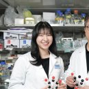 110만 탈모인 &#39;희소식&#39;…KAIST, 놀라운 연구 결과 내놨다 이미지