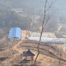 성왕산등산로 이미지