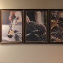 스타벅스커피 서초중앙로점 이미지