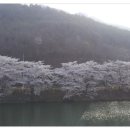 곡소 이미지