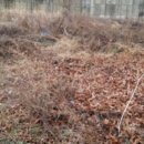 거제상문고등학교 이미지