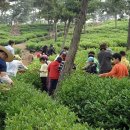 황토현농장 이미지