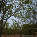 재관농장 이미지