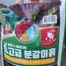 광산축산 | 죽어가던 화분도 다시 살아난 이유, 거목산업사 최고급 분갈이흙 30L 솔직 후기