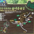 편백향기 이미지