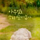 하이루 이미지