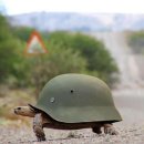 탑블레이드 이미지