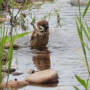 매일목욕탕 이미지