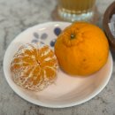 창주농장 이미지