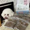 (주)와우소프트 | 강아지 알러지 사료 추천, 알러지 심한 강아지 소프트 하이포알러제닉 사료 ‘후코051soft’ 급여 후기