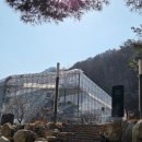 솔향수목원(전시온실) 이미지