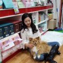 나밍밍 강아지네 이미지