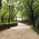 삼청공원 숲속도서관 이미지