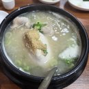 원조서울삼계탕 | 남포동 보양식 블루리본 삼계탕 맛집 원조서울삼계탕