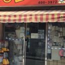 통큰딱따구리 이미지