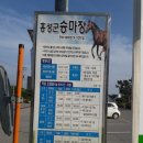 돌석이네 이미지
