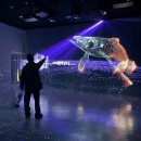 부산영화체험박물관 | 부산아이와갈만한곳, 부산영화체험박물관 아이랑 꿀잼 솔직후기