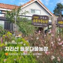 다물농장 이미지