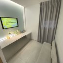 펫바라기 이미지