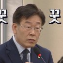 강비디오 이미지